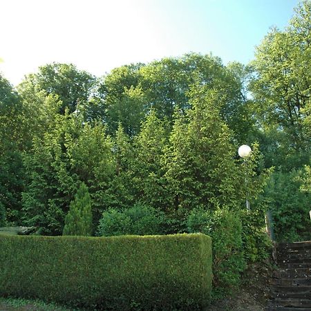 Hotel Et Studios D'Orfeuil Bourbonne les Bains Bagian luar foto