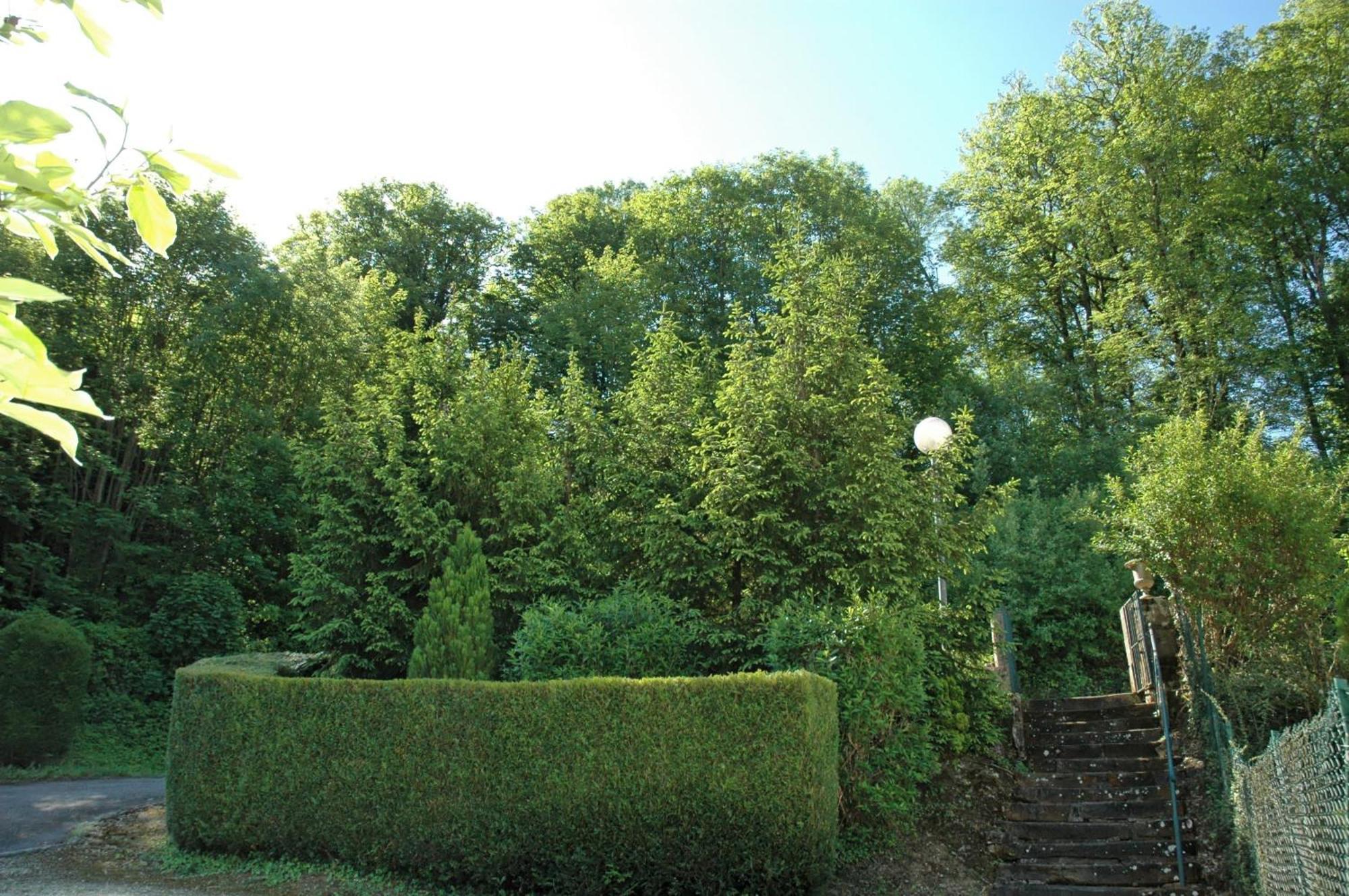 Hotel Et Studios D'Orfeuil Bourbonne les Bains Bagian luar foto