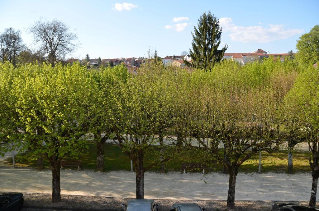Hotel Et Studios D'Orfeuil Bourbonne les Bains Ruang foto