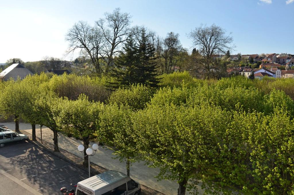 Hotel Et Studios D'Orfeuil Bourbonne les Bains Ruang foto