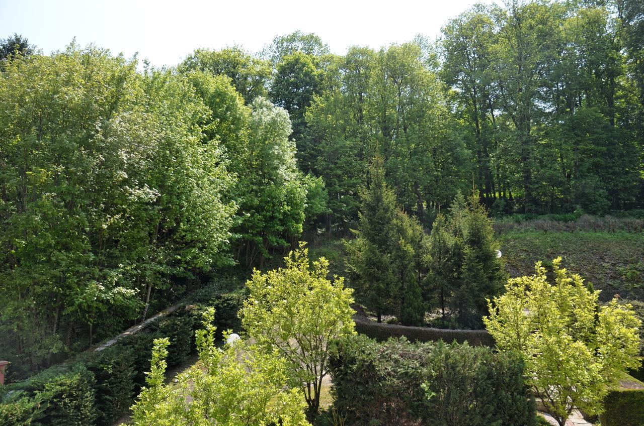 Hotel Et Studios D'Orfeuil Bourbonne les Bains Bagian luar foto