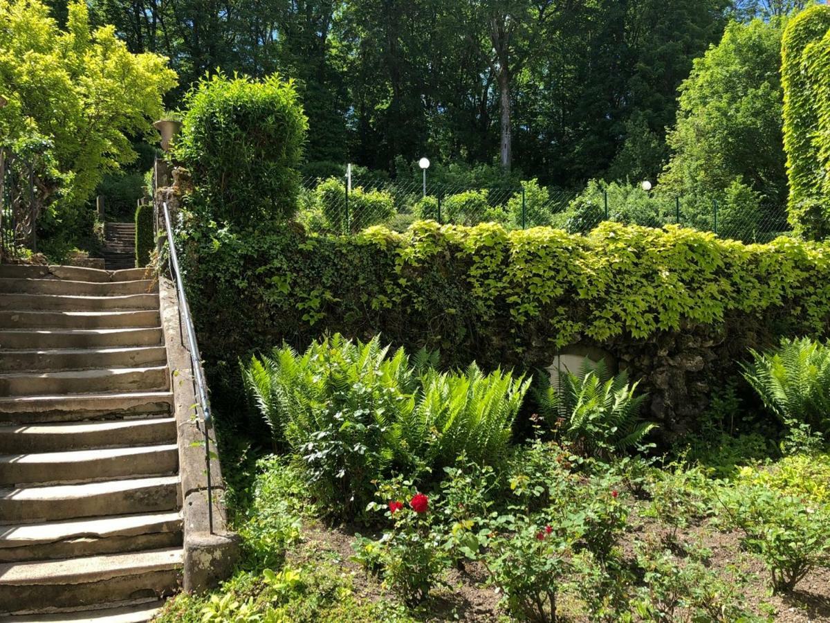 Hotel Et Studios D'Orfeuil Bourbonne les Bains Bagian luar foto